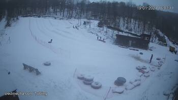 Ведмежа 19 січня 2024 року, 2024-01-19 16:00