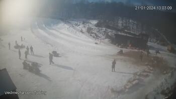 Ведмежа 21 січня 2024 року, 2024-01-21 13:00