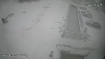 Ведмежа 24 січня 2024 року, 2024-01-24 16:00