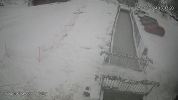 Ведмежа 25 січня 2024 року, 2024-01-25 13:00