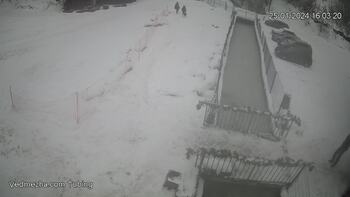 Ведмежа 25 січня 2024 року, 2024-01-25 16:00