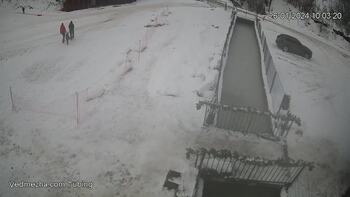 Ведмежа 26 січня 2024 року, 2024-01-26 10:00