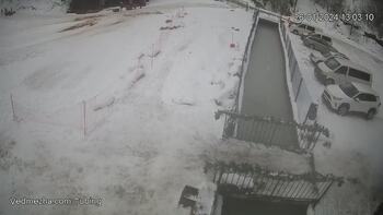 Ведмежа 26 січня 2024 року, 2024-01-26 13:00
