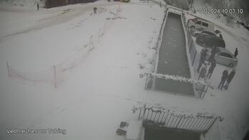 Ведмежа 27 січня 2024 року, 2024-01-27 10:00