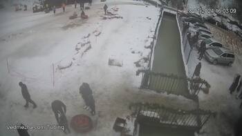 Ведмежа 28 січня 2024 року, 2024-01-28 16:00