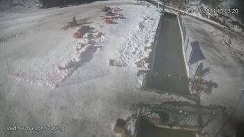 Ведмежа 29 січня 2024 року, 2024-01-29 13:00