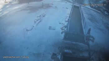 Ведмежа 30 січня 2024 року, 2024-01-30 10:00