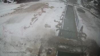 Ведмежа 1 лютого 2024 року, 2024-02-01 10:00