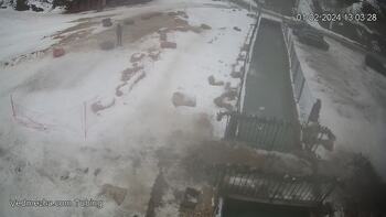 Ведмежа 1 лютого 2024 року, 2024-02-01 13:00