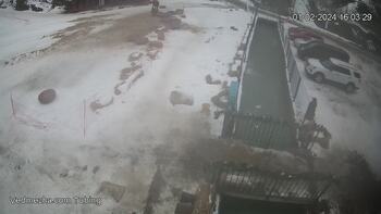 Ведмежа 1 лютого 2024 року, 2024-02-01 16:00