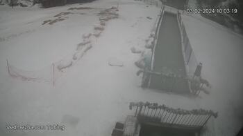 Ведмежа 3 лютого 2024 року, 2024-02-03 10:00