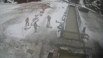Ведмежа 4 лютого 2024 року, 2024-02-04 10:00