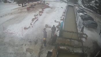 Ведмежа 4 лютого 2024 року, 2024-02-04 16:00