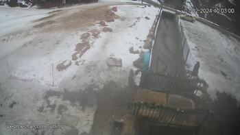Ведмежа 7 лютого 2024 року, 2024-02-07 10:00