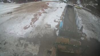 Ведмежа 7 лютого 2024 року, 2024-02-07 13:00