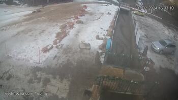 Ведмежа 7 лютого 2024 року, 2024-02-07 16:00