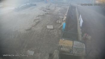 Ведмежа 14 лютого 2024 року, 2024-02-14 16:00