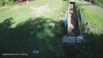 Ведмежа 15 червня 2024 року, 2024-06-15 10:00