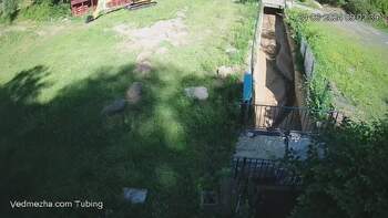 Ведмежа 24 червня 2024 року, 2024-06-24 10:00