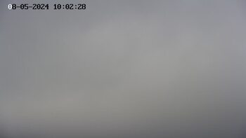 Ясіня 5 серпня 2024 року, 2024-08-05 10:00