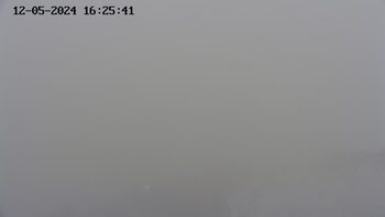 Ясіня 7 грудня 2024 року, 2024-12-07 10:00