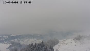 Ясіня 8 грудня 2024 року, 2024-12-08 10:00