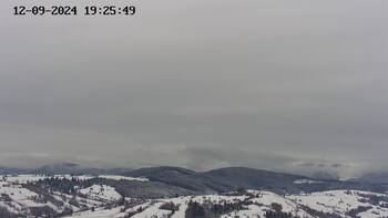 Ясіня 11 грудня 2024 року, 2024-12-11 13:00
