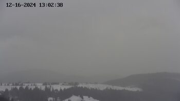 Ясіня 16 грудня 2024 року, 2024-12-16 13:00