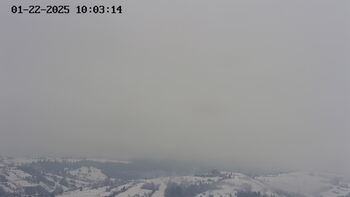 Ясіня 22 січня 2025 року, 2025-01-22 10:00