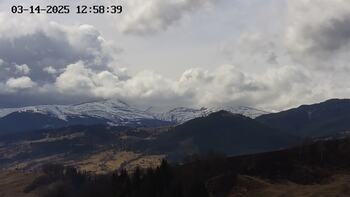 Ясіня 14 березня 2025 року, 2025-03-14 13:00