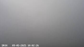Ясіня 5 вересня 2025 року, 2025-09-05 10:00