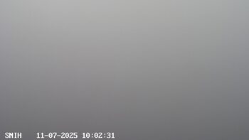 Ясіня 7 листопада 2025 року, 2025-11-07 10:00