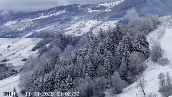 Ясіня 18 листопада 2025 року, 2025-11-18 13:00