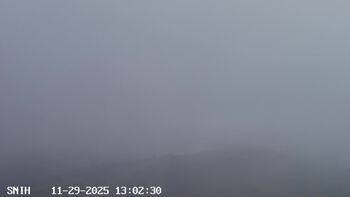 Ясіня 29 листопада 2025 року, 2025-11-29 13:00