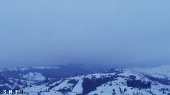 Ясіня 29 січня 2026 року, 2026-01-29 10:00