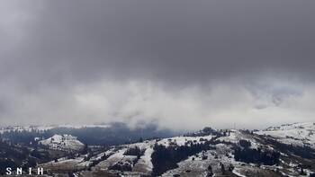 Ясіня 24 лютого 2026 року, 2026-02-24 13:00