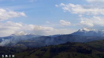 Ясіня 29 квітня 2026 року, 2026-04-29 16:00