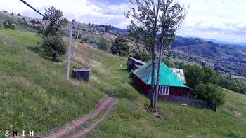 Jasinia 9 lipiec 2026 rok, 2026-07-09 13:00