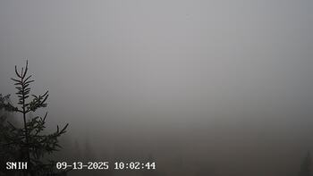 Ясіня 13 вересня 2025 року, 2025-09-13 10:00