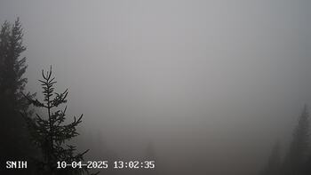 Ясіня 4 жовтня 2025 року, 2025-10-04 13:00