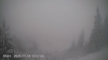 Jasinia 18 listopad 2025 rok 10:00