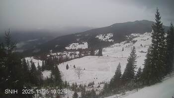 Jasinia 25 listopad 2025 rok 10:00