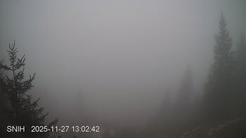 Jasinia 27 listopad 2025 rok 13:00