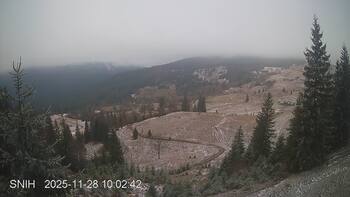 Jasinia 28 listopad 2025 rok 10:00