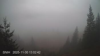 Ясіня 30 листопада 2025 року, 2025-11-30 13:00