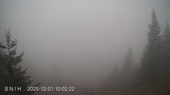 Ясіня 1 грудня 2025 року, 2025-12-01 10:00