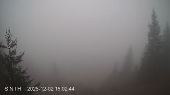 Ясіня 2 грудня 2025 року, 2025-12-02 16:00