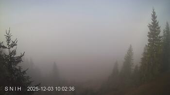 Ясіня 3 грудня 2025 року, 2025-12-03 10:00