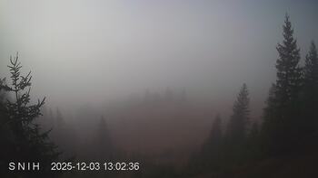 Ясіня 3 грудня 2025 року, 2025-12-03 13:00