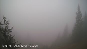 Ясіня 8 грудня 2025 року, 2025-12-08 10:00